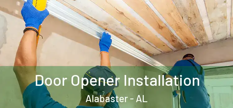 Door Opener Installation Alabaster - AL