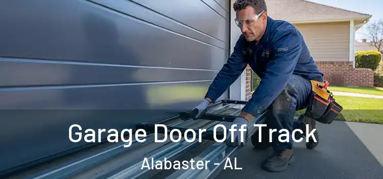  Garage Door Off Track Alabaster - AL