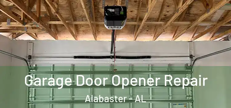  Garage Door Opener Repair Alabaster - AL